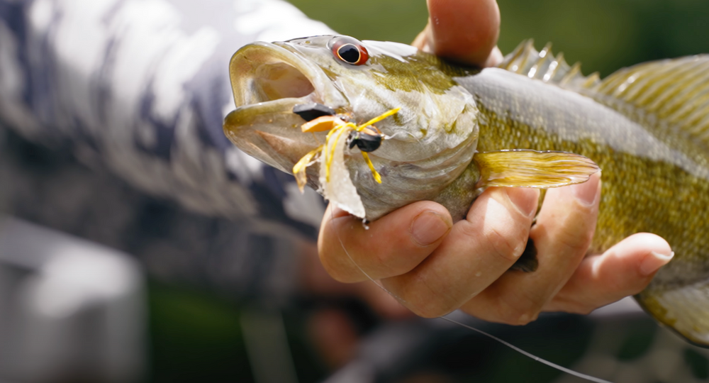 VIDEO: Fly Fishing Nashville | The 240 year double cicada brood | Fishing for trout, bass and more